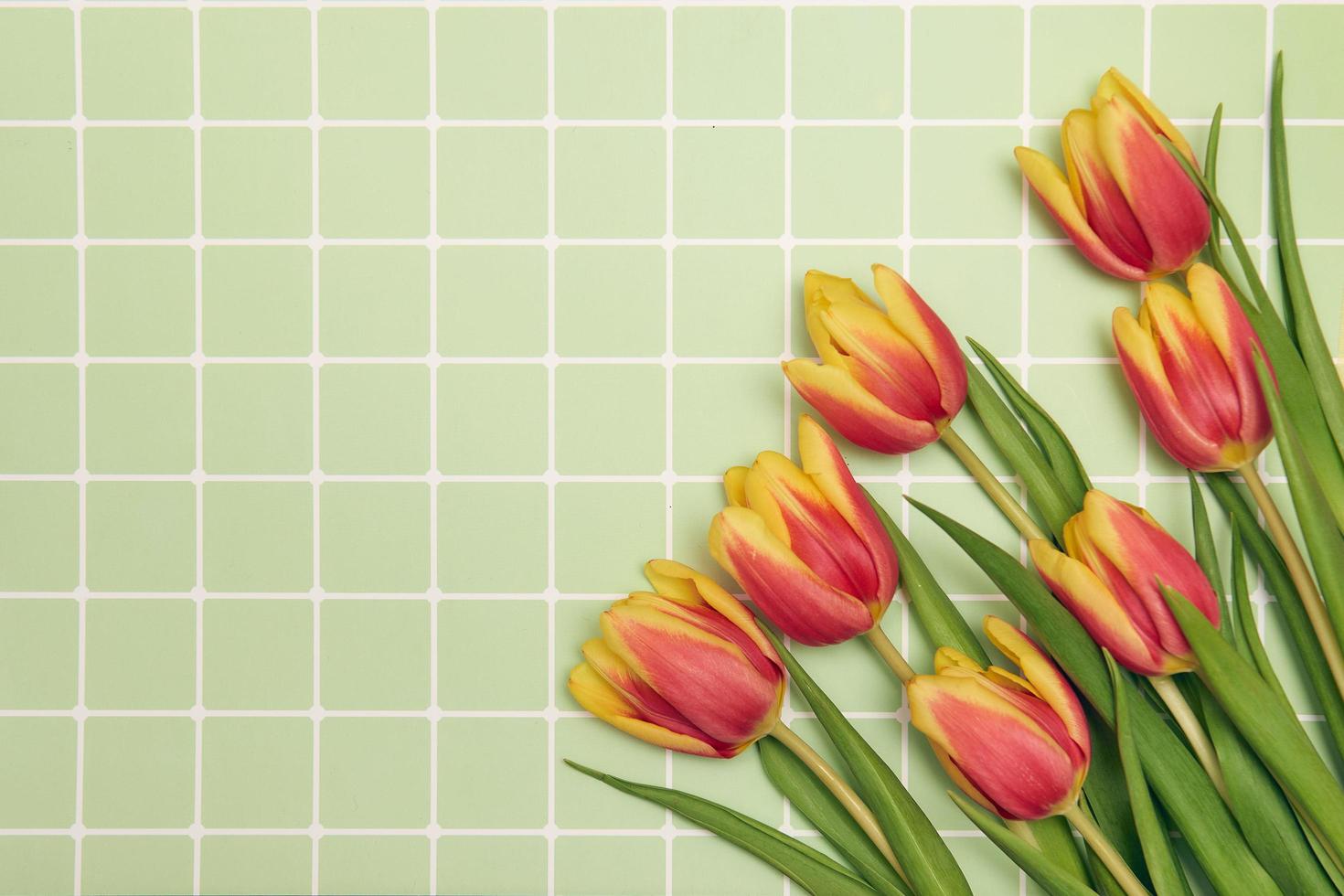 Floral background with copy space. Flat-lay frame of tulips. Womens day, mothers day greeting card photo