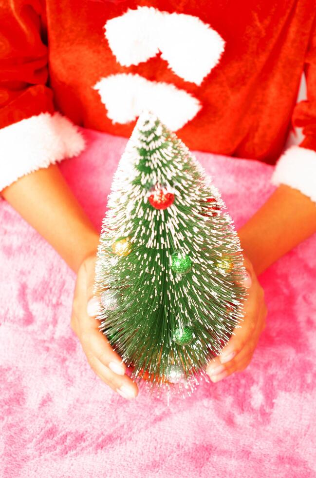 Close up of Christmas tree on hand backgrounds photo