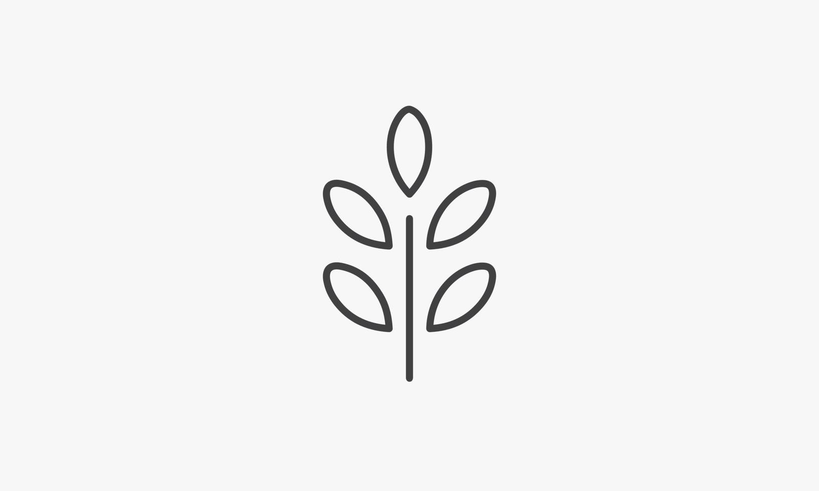 abstract line icon moringa isolated on white background. vector