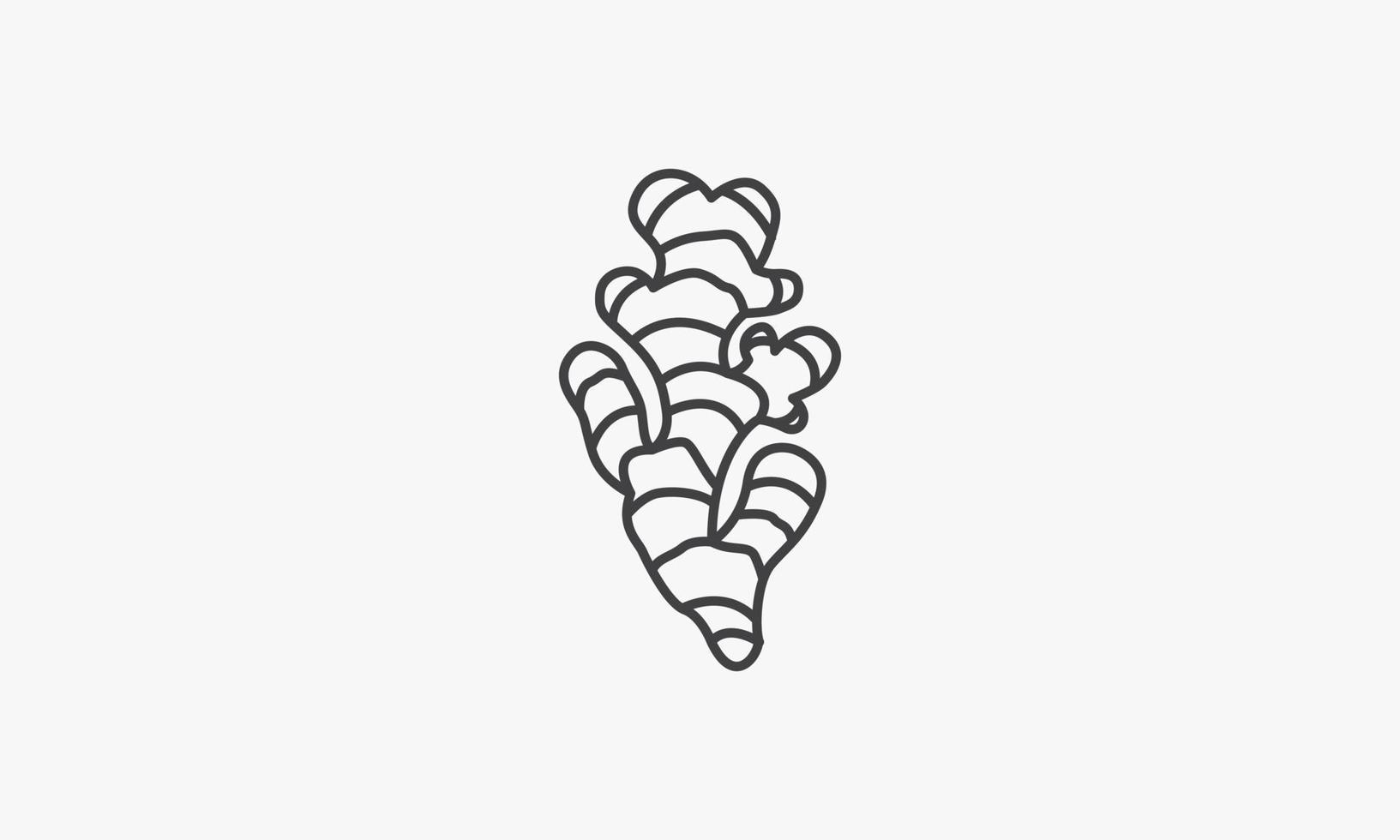 line icon ginger vector illustration. isolated on white background.