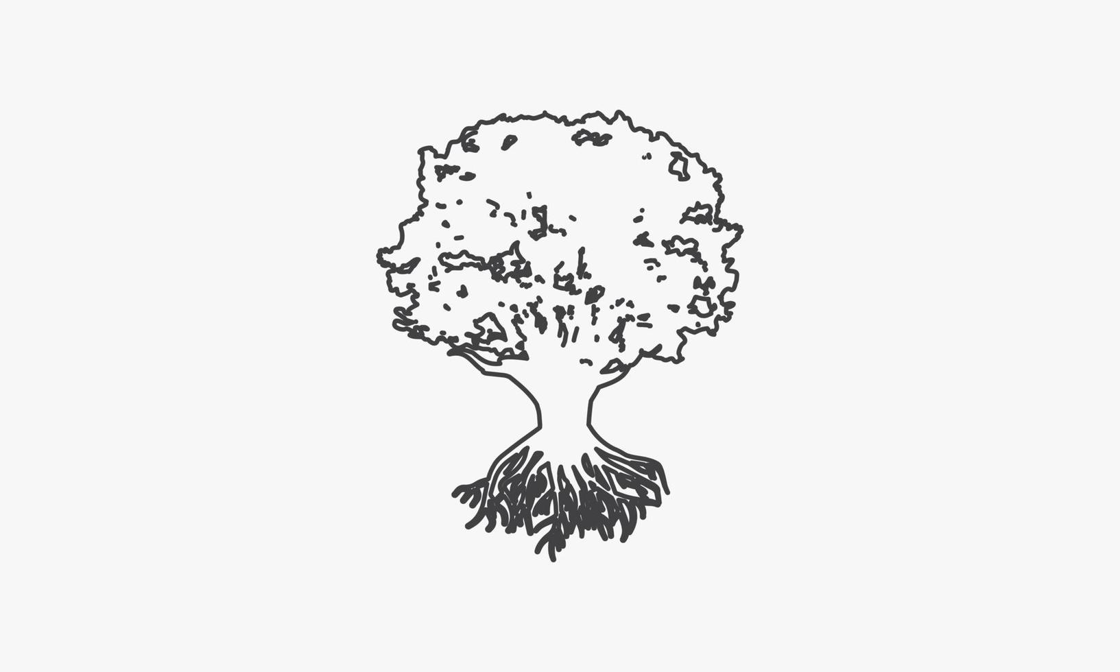 line icon tree isolated on white background. vector