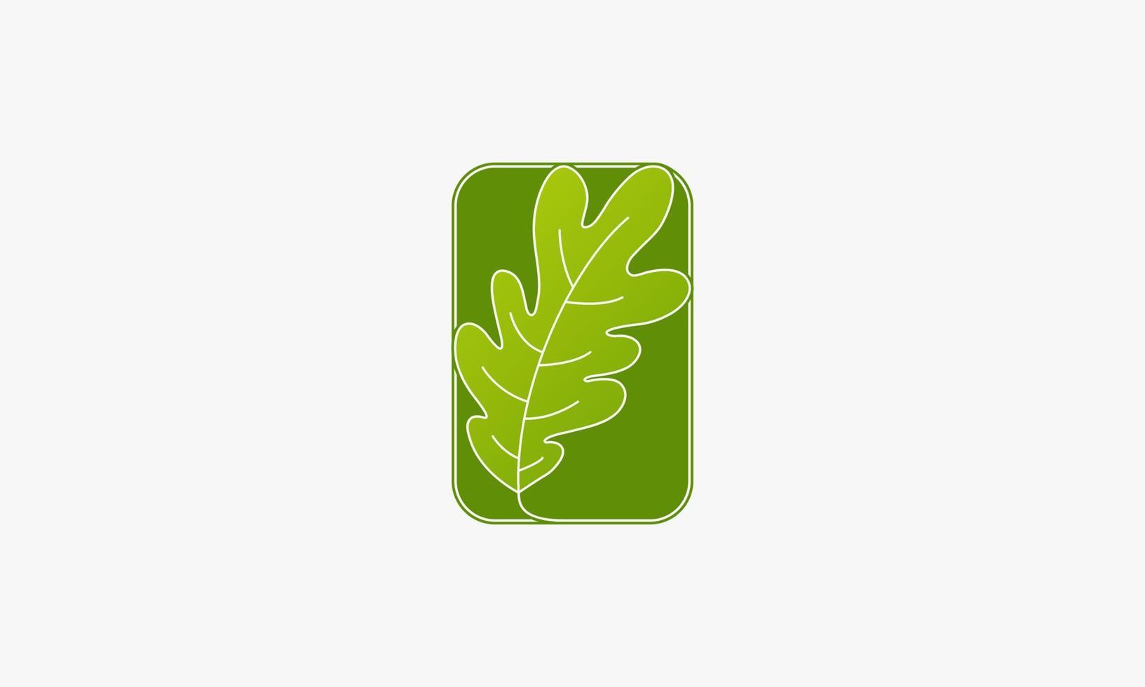 green oak leaf logo isolated on white background. vector
