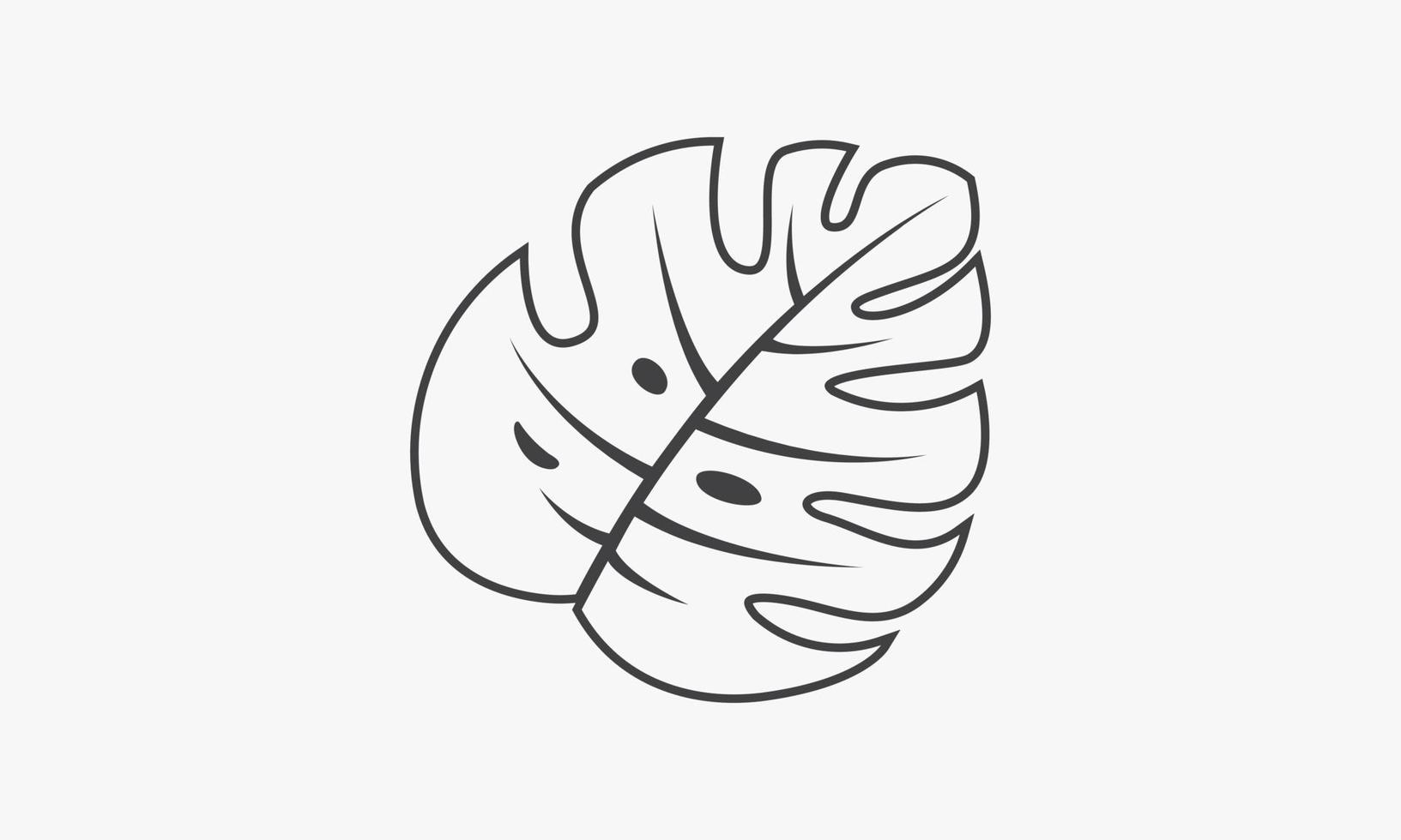 icono de línea hoja de monstera aislada sobre fondo blanco. vector