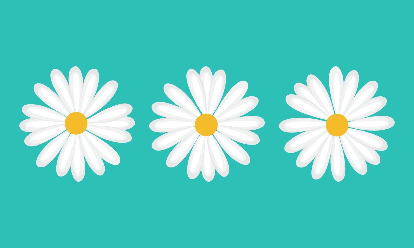 flores margarita manzanilla ilustración vectorial sobre fondo blanco. icono creativo. vector