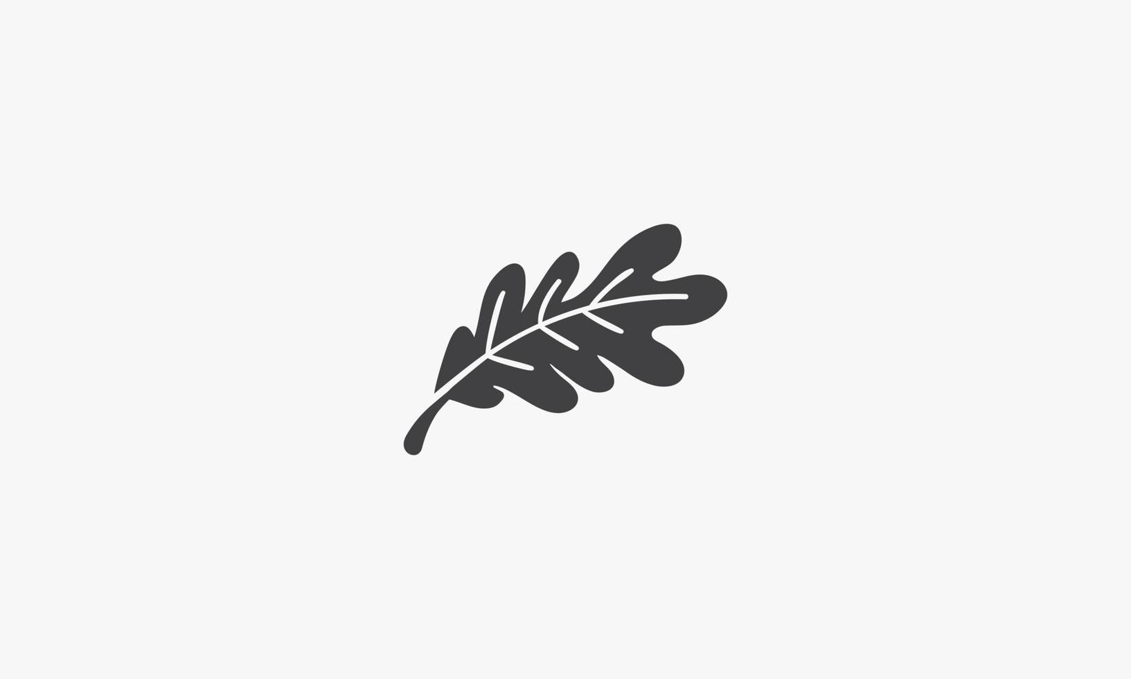 oak leaf icon vector illustration. isolated on white background.