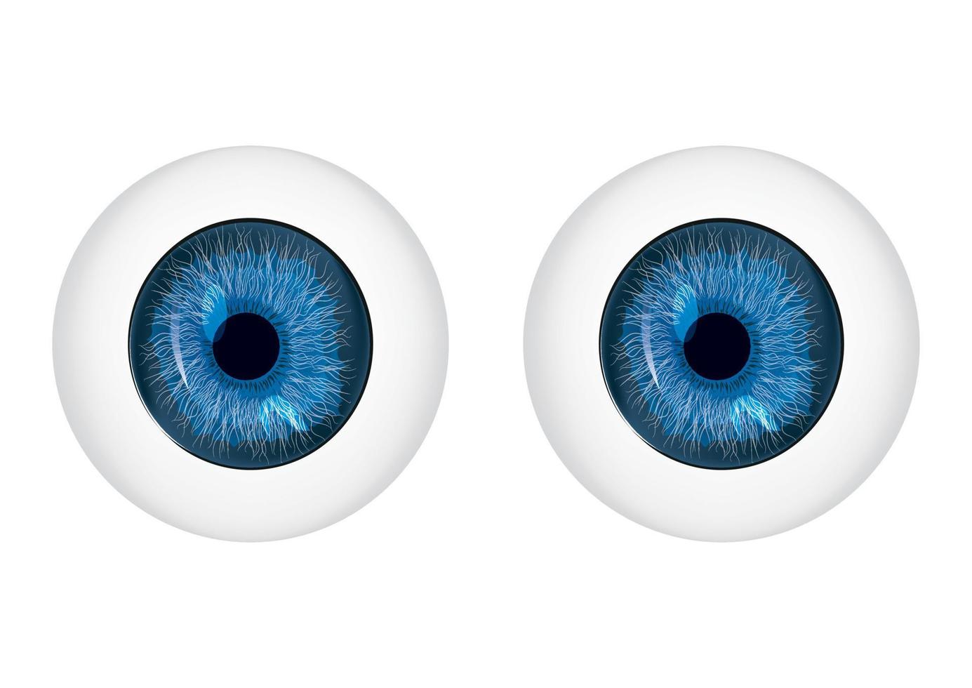 vector de ojos azules. ilustración vectorial de ojos azules