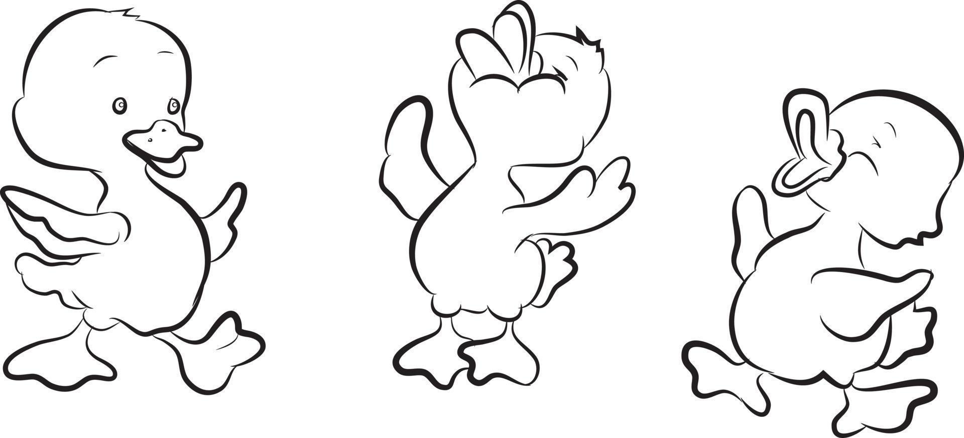 Black and White Cartoon Ducklings vector