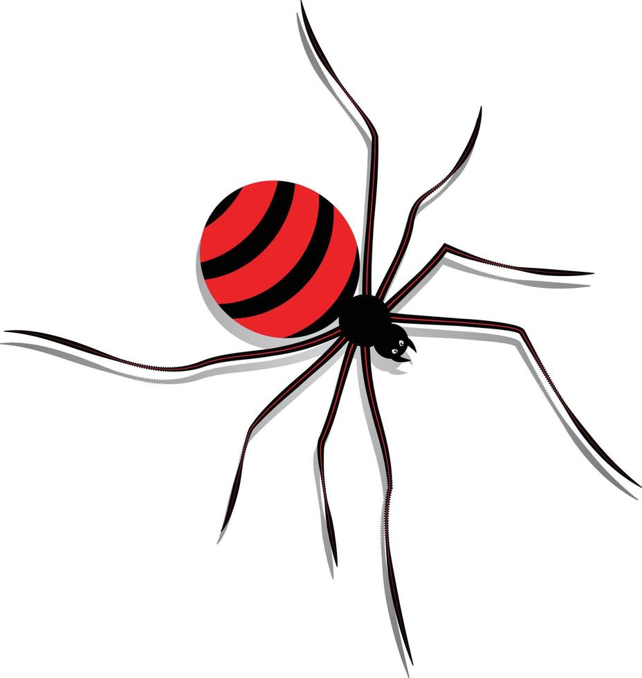 araña negra aislada sobre fondo blanco. ilustración vectorial de araña negra vector