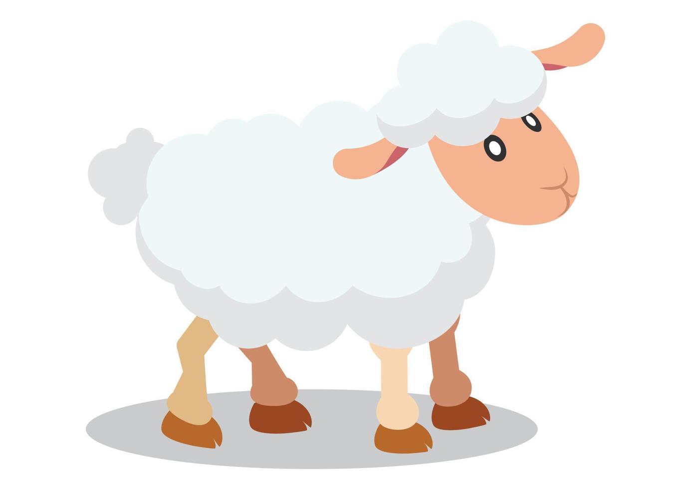 Flat vector design of cute sheep. Cartoon sheep isolated on white background