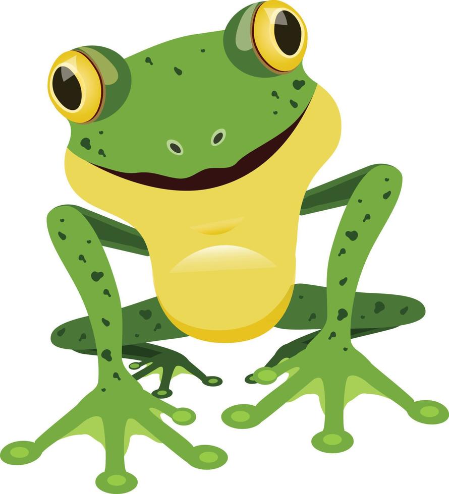 Cute Green Frog Cartoon Character Isolated on a White Background. Vector Illustration of green frog