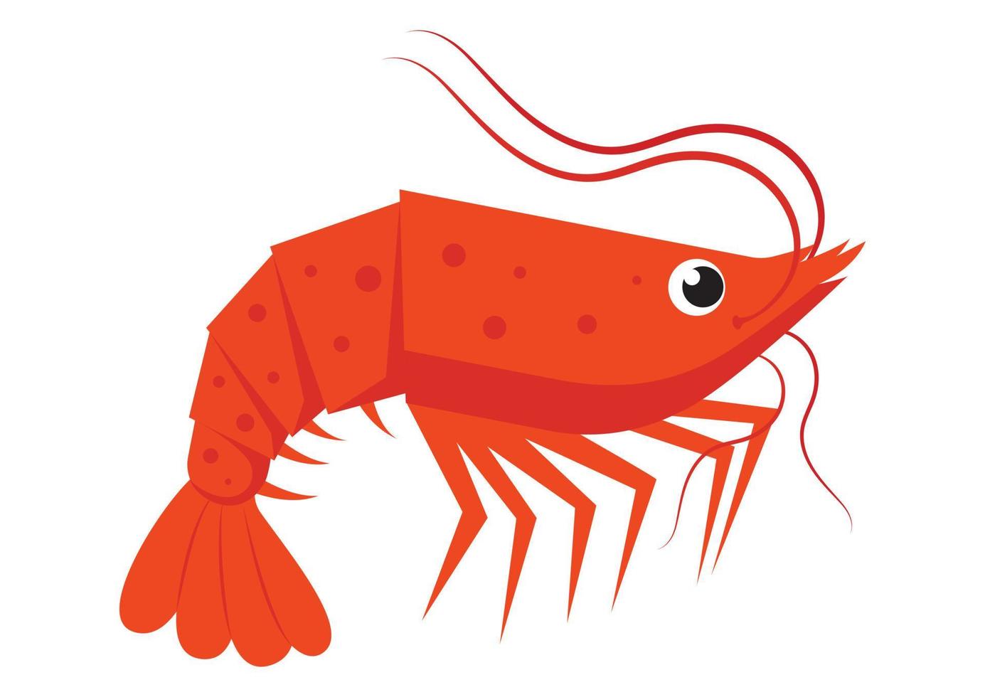 Shrimp flat style isolated on a white background. Cartoon Character. Vector Shrimp