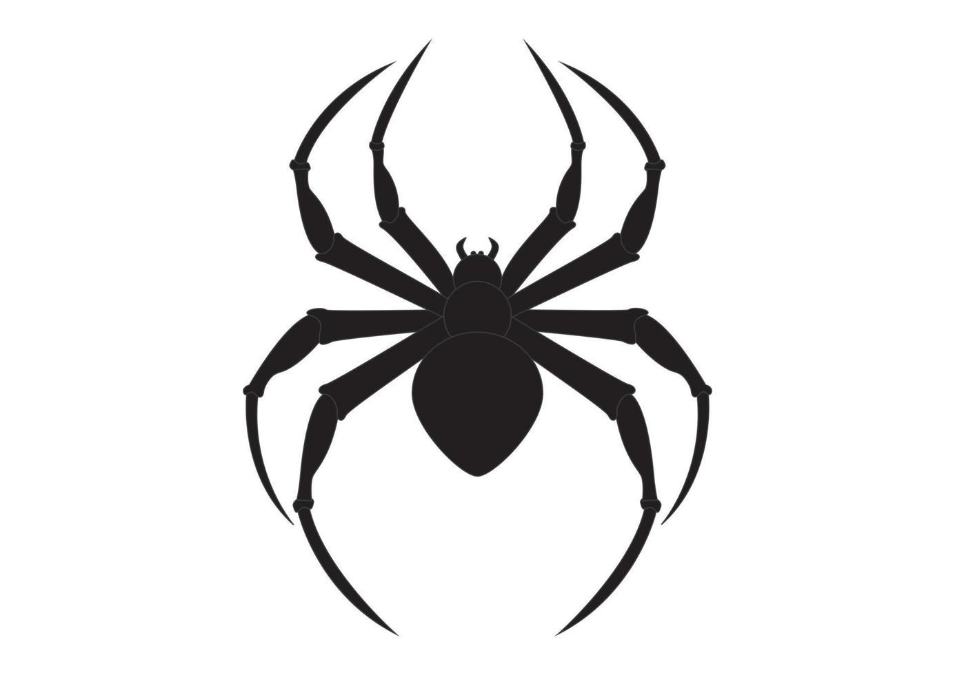 Black Spider Clipart. Arachnia. Illustration of black spider vector