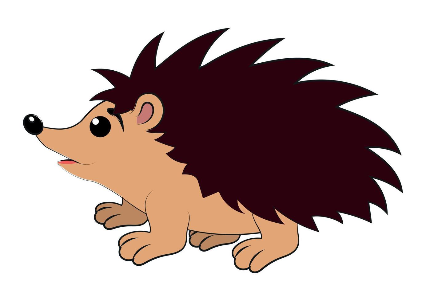 Hedgehog isolated on white background. Hedgehog clipart vector