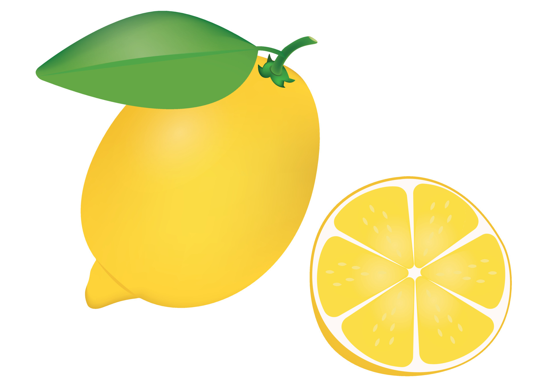 Clipart Realistic Lemon and Half of Lemon 4641947 Vector Art at Vecteezy
