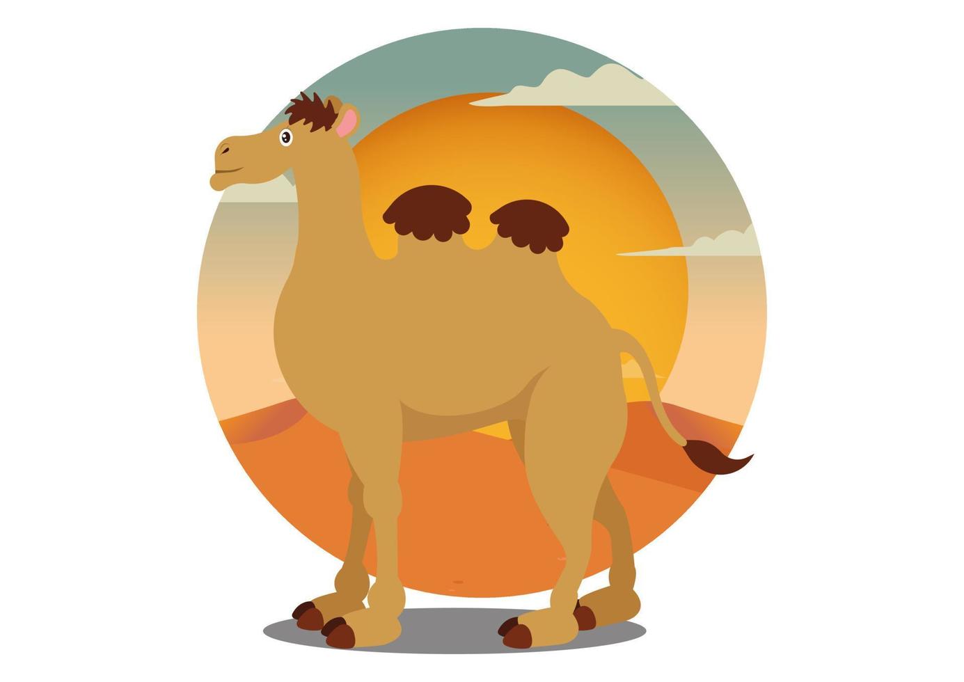 Camello de dibujos animados aislado sobre fondo blanco ilustración vectorial. vector