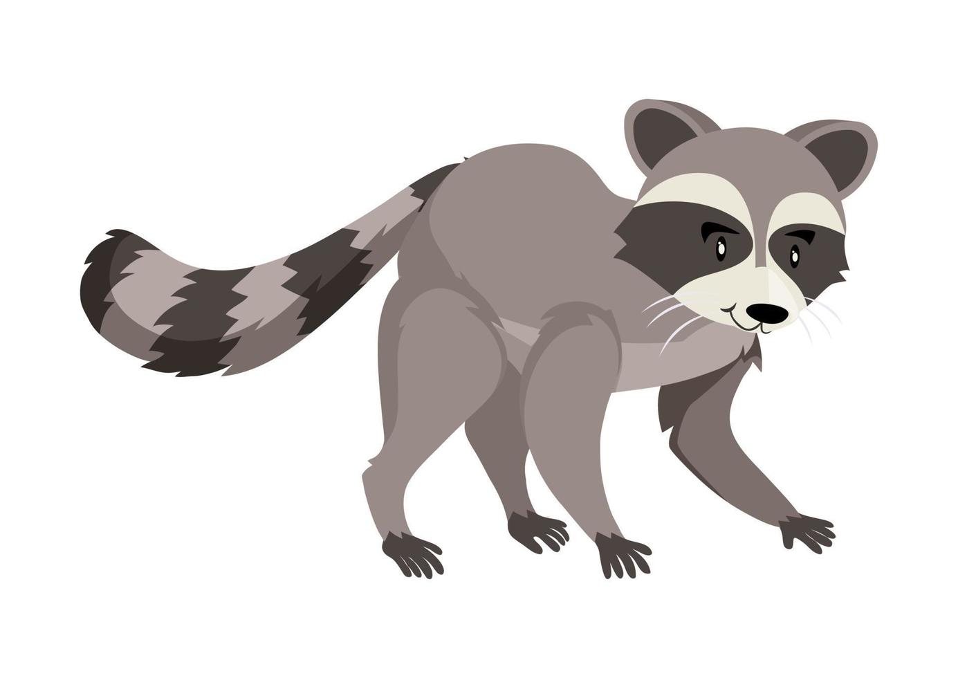 Cute Raccoon Cartoon Vector Graphics. Raccoon on white background