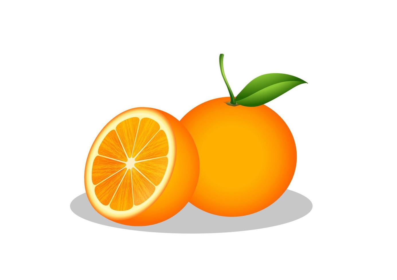 Ilustración de vector de fruta naranja y media naranja aislada sobre fondo blanco