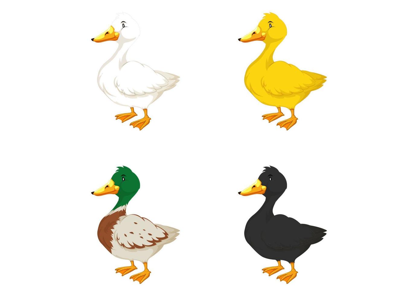 Ilustración de cuatro patos de diferentes colores sobre un fondo blanco patos de diferentes colores. vector