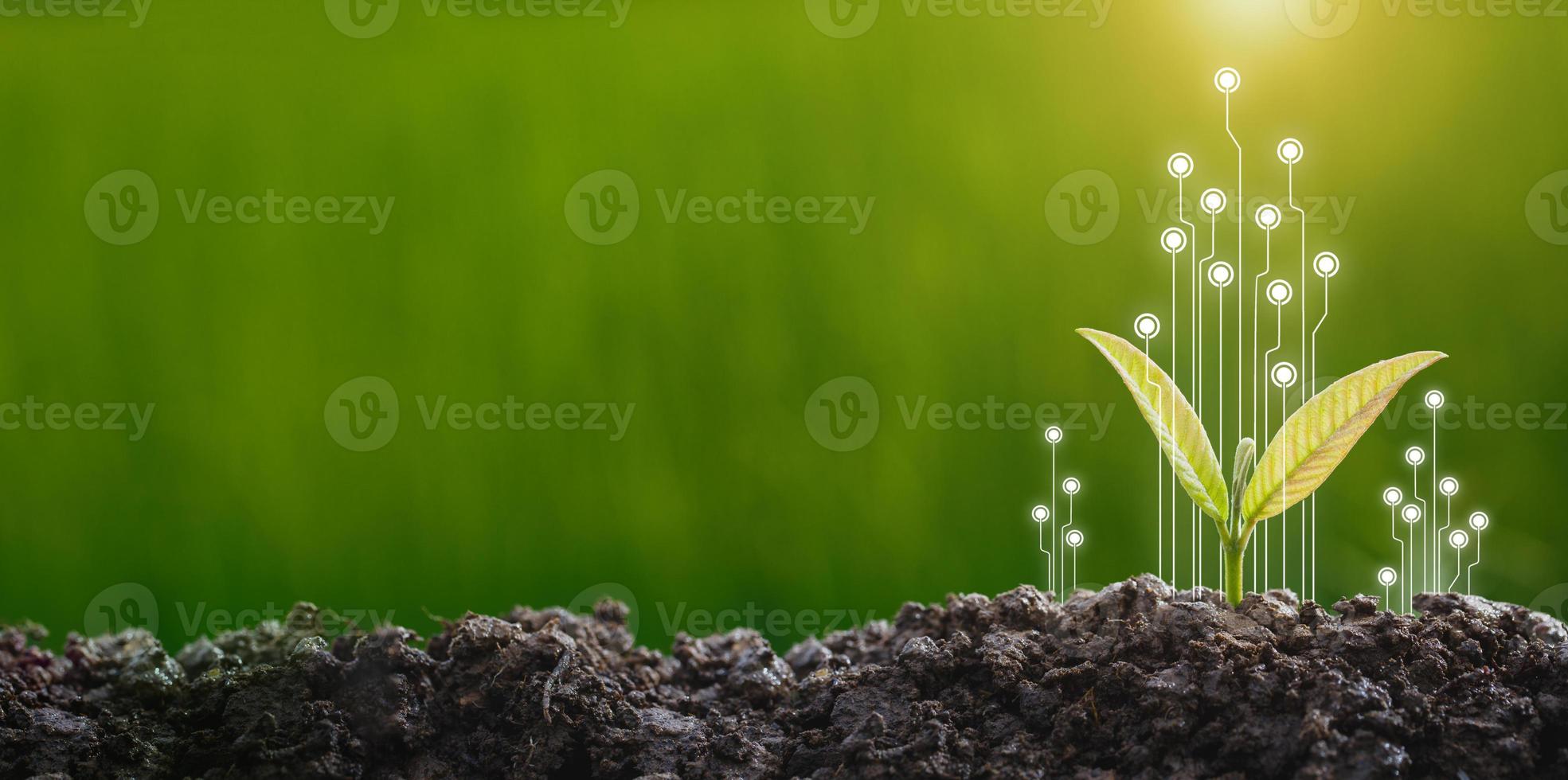 concepto de rsc y plantación de negocios foto