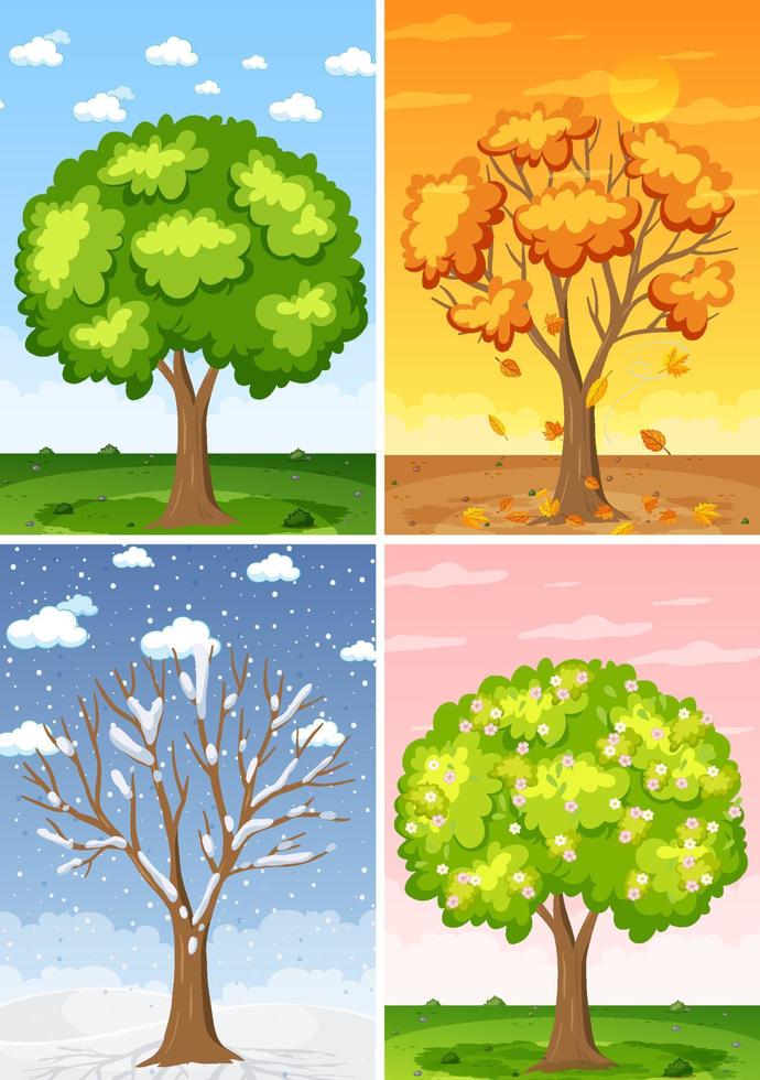 Set of four seasons backgrounds vector