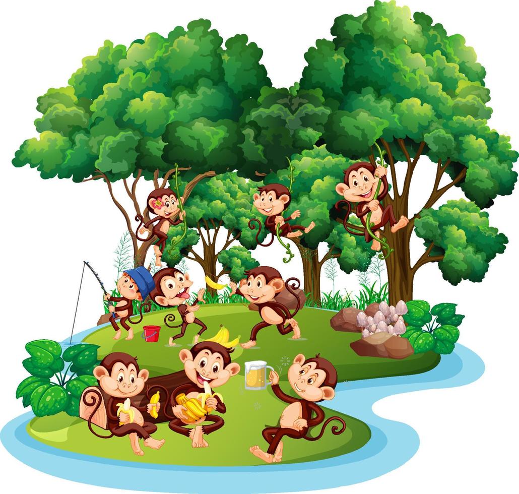 bosque aislado con muchos monos lindos vector