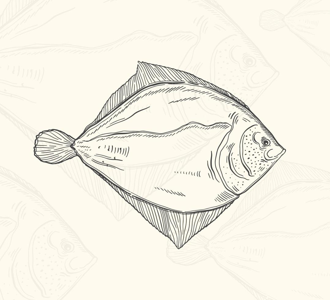 Illustration fish sketch food.Hand drawn element design menu. Isolated object in white background. vector