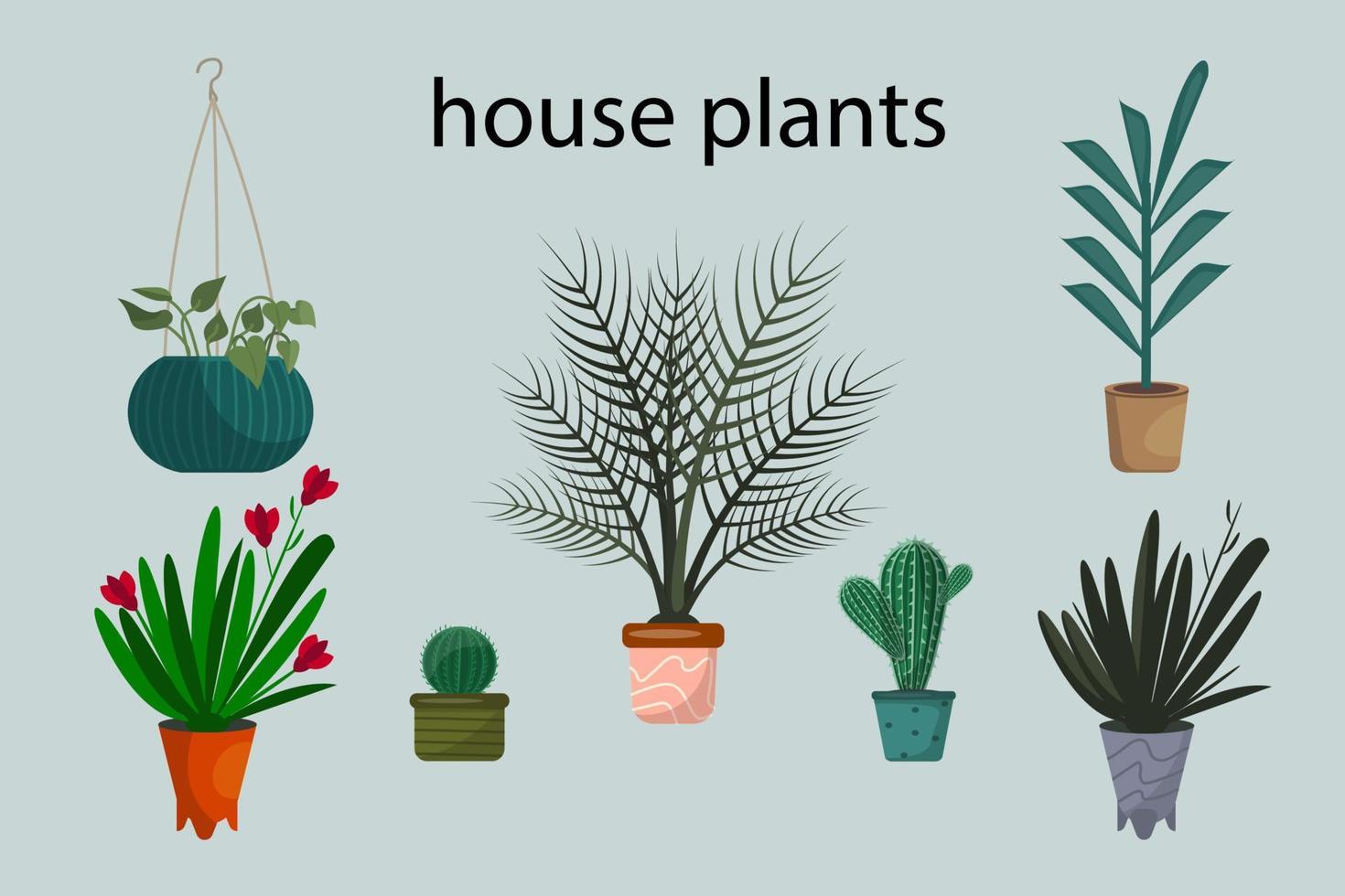 Collection of decorative houseplants. Set of trendy plants growing in pots. Indoor plants flat color illustrations set. Vector illustration in flat cartoon style