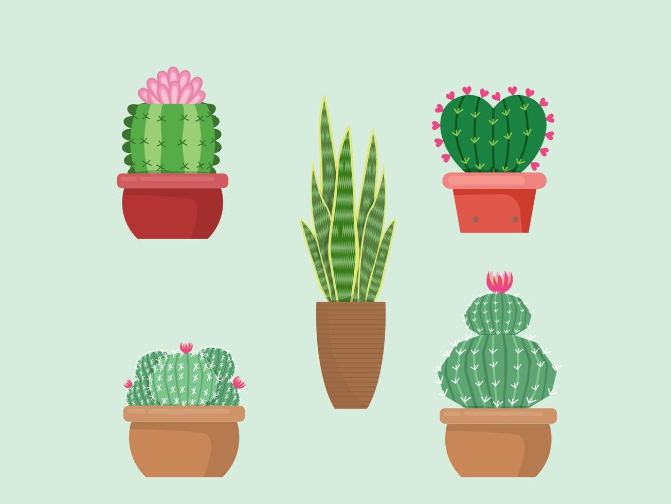 Green Cactus bright cacti flower on white background.design vector