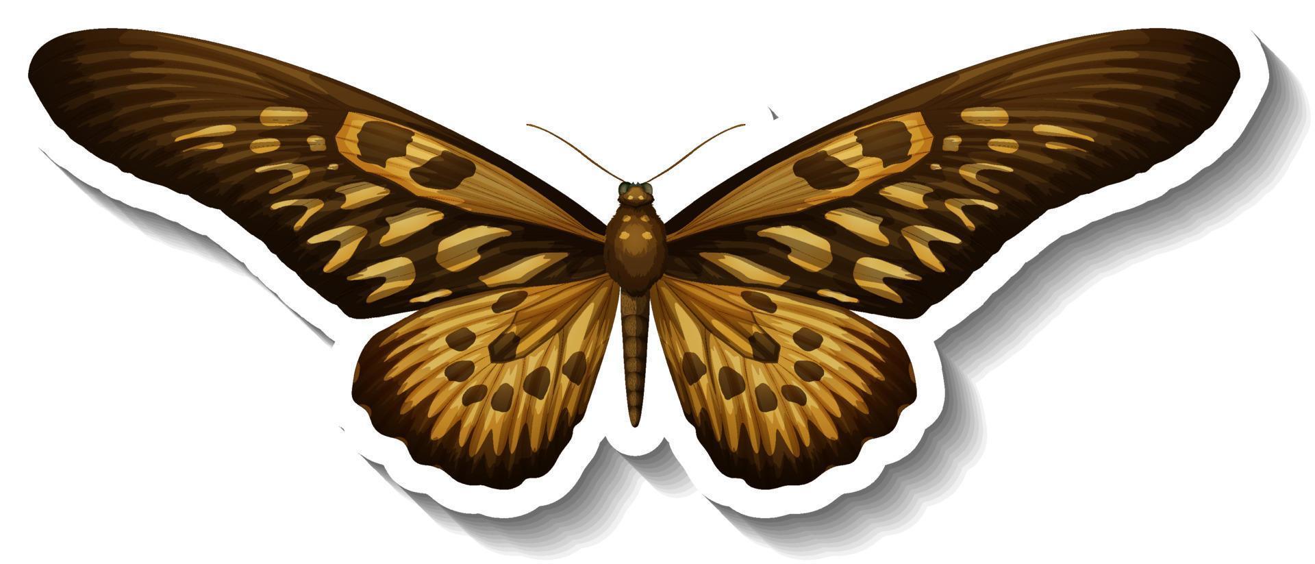A sticker template with butterfly or moth isolated vector