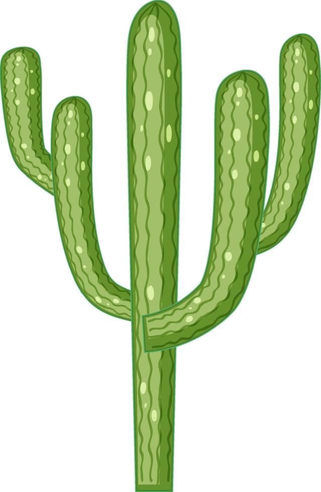 Cactus saguaro aislado sobre fondo blanco. vector