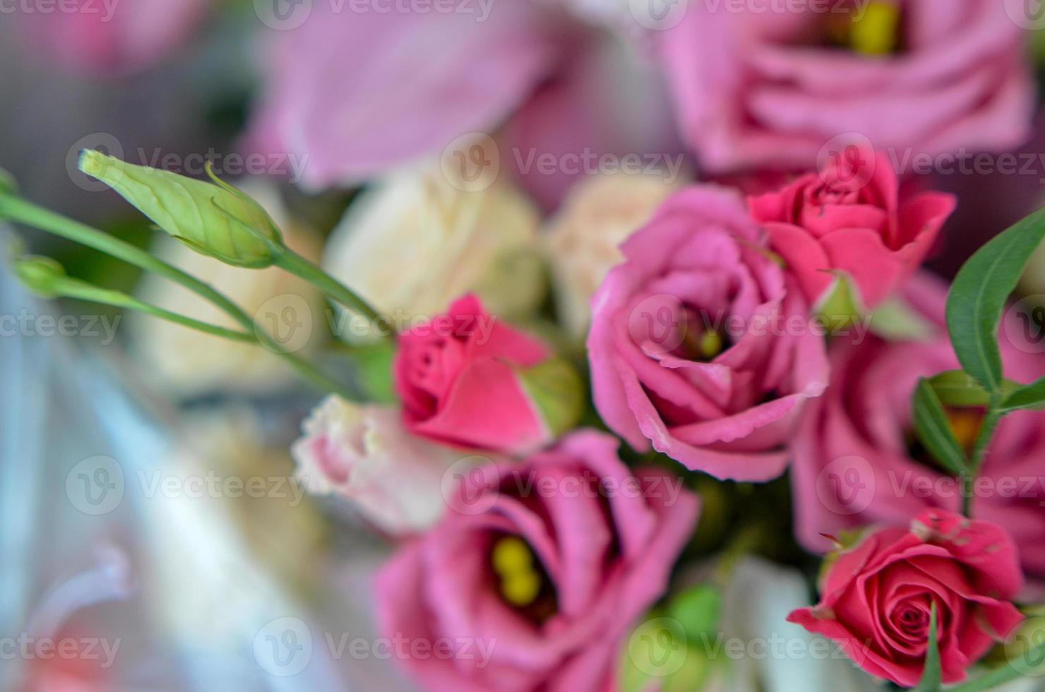 Bouquet with orchids and roses on a beautiful background photo