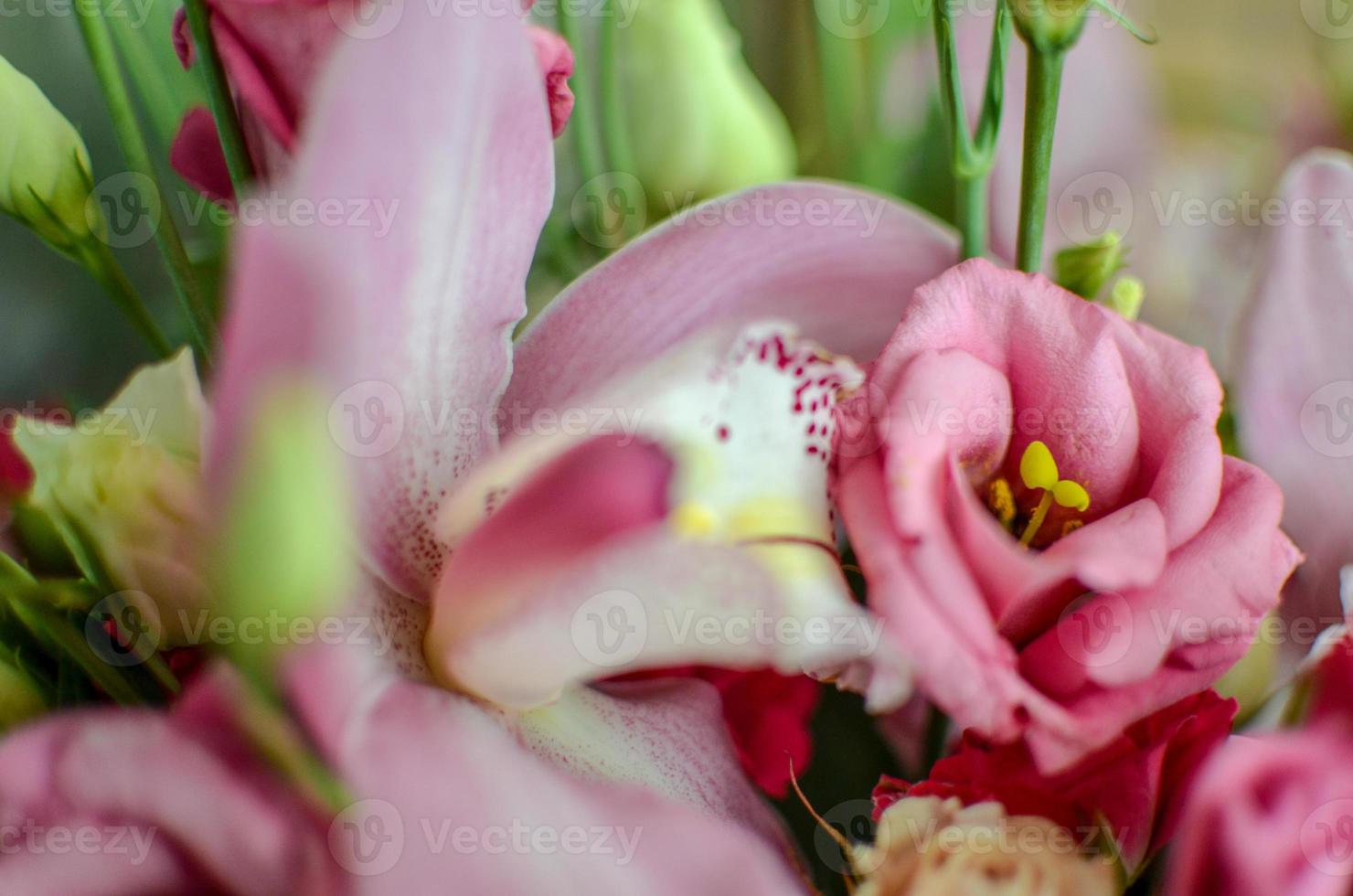 Bouquet with orchids and roses on a beautiful background photo