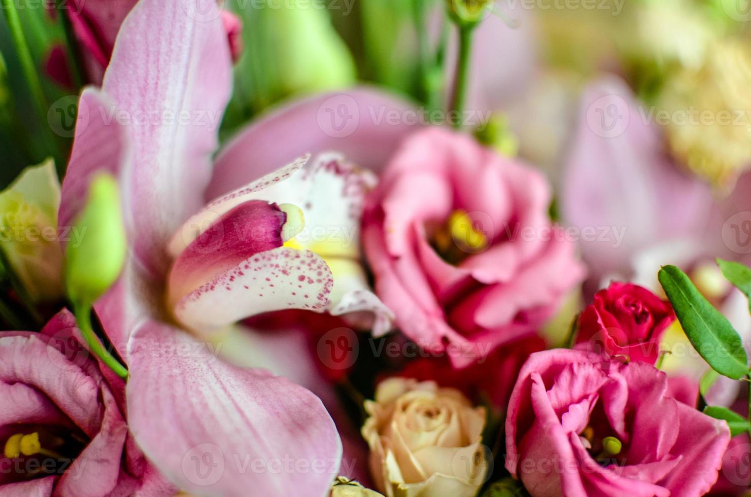 Bouquet with orchids and roses on a beautiful background photo