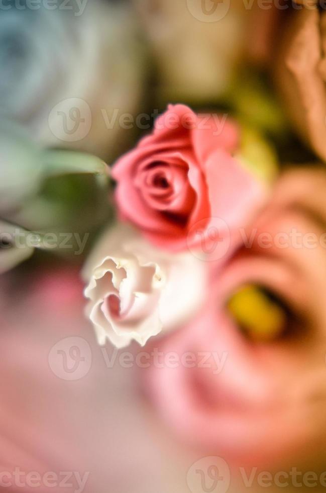 Pink and white roses background. Retro filter photo