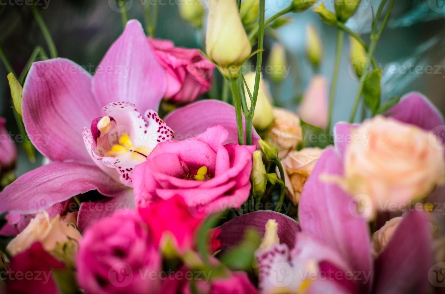 Bouquet with orchids and roses on a beautiful background photo