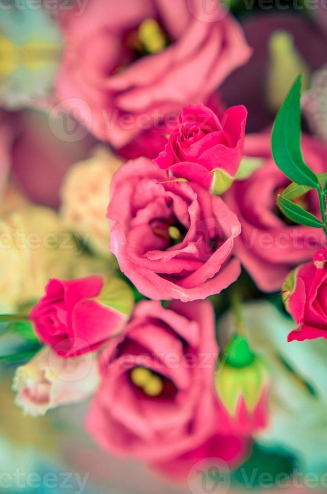 Bouquet with orchids and roses on a beautiful background photo