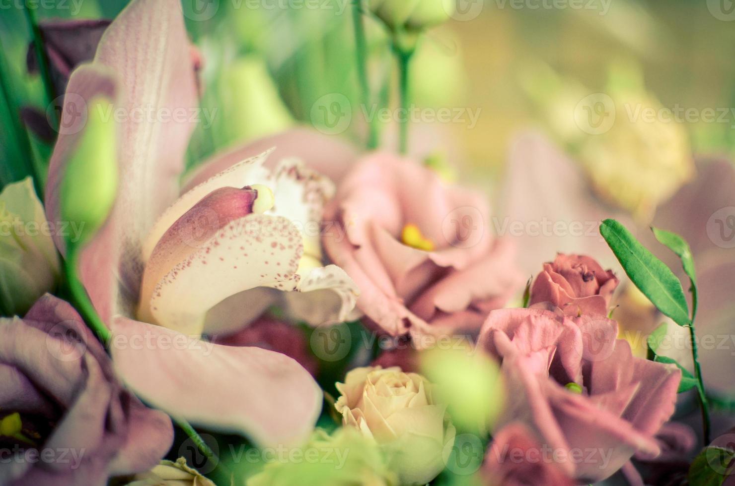 Bouquet with orchids and roses on a beautiful background photo