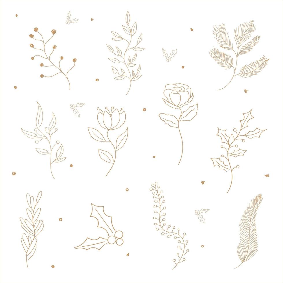 ilustración vectorial elementos botánicos florales. flores y hierbas fondo aislado. vector