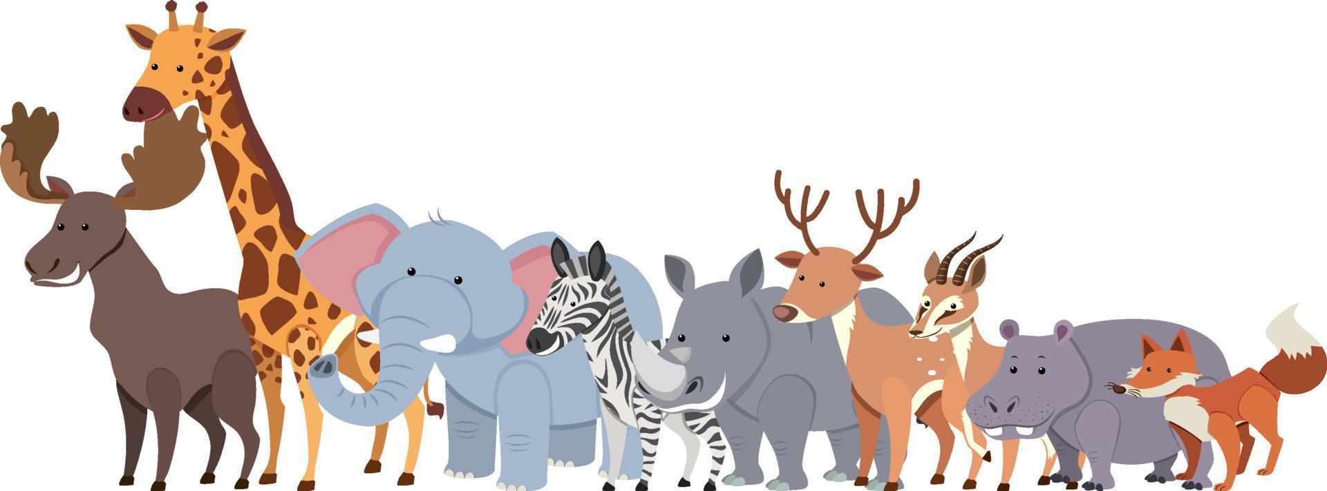 Cartoon wild animals in flat style vector