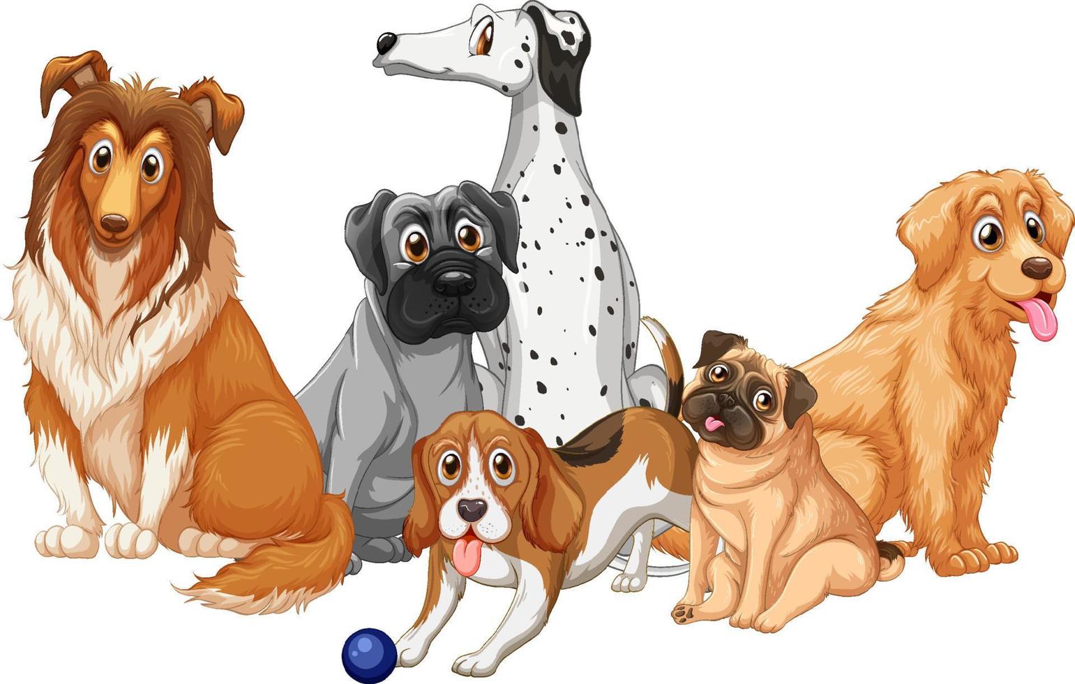 Grupo de razas de perros sobre fondo blanco. vector