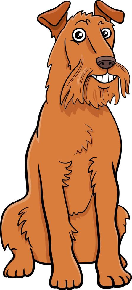 cartoon Irish Terrier purebred dog character vector