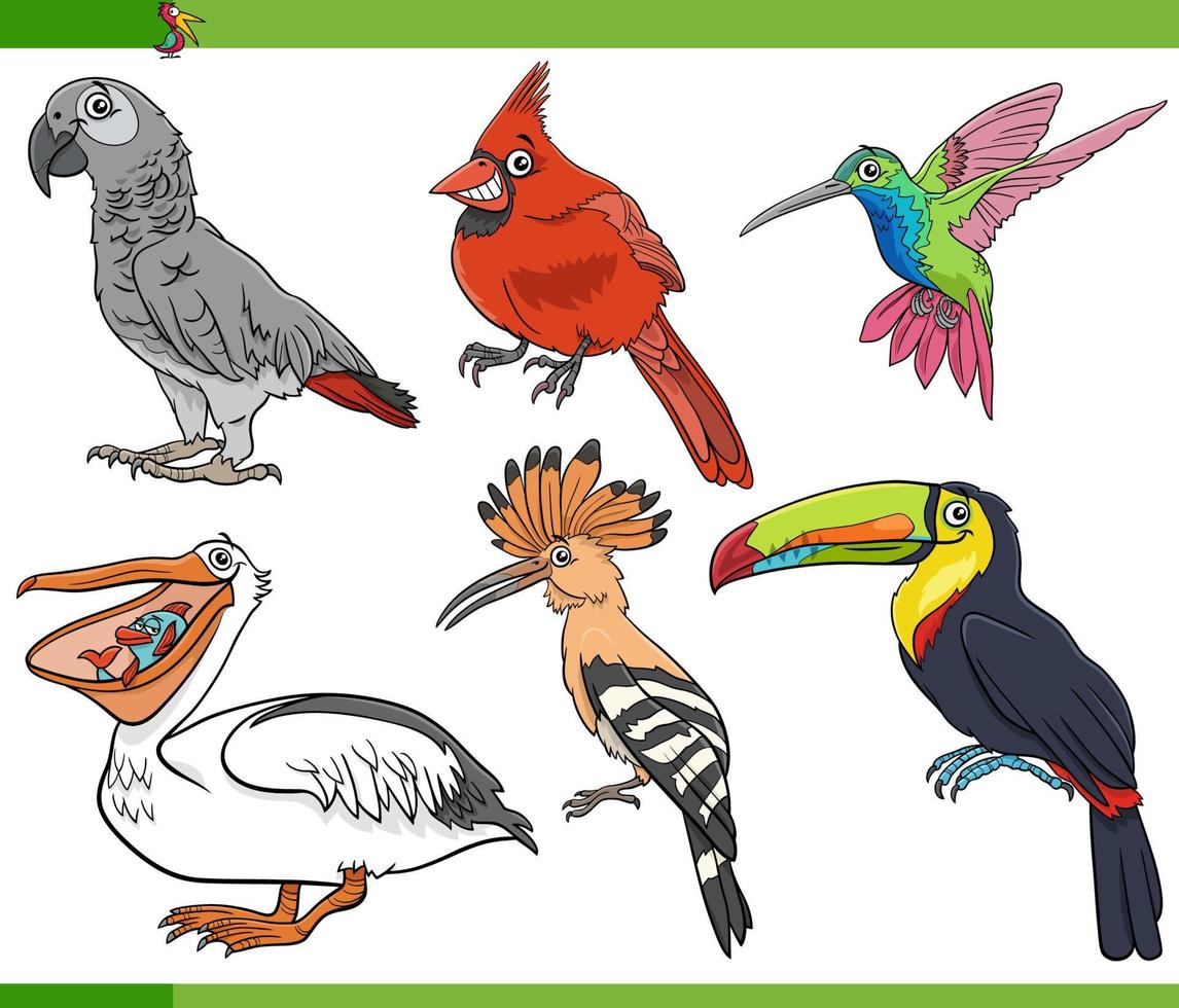 cartoon birds species animal characters set vector