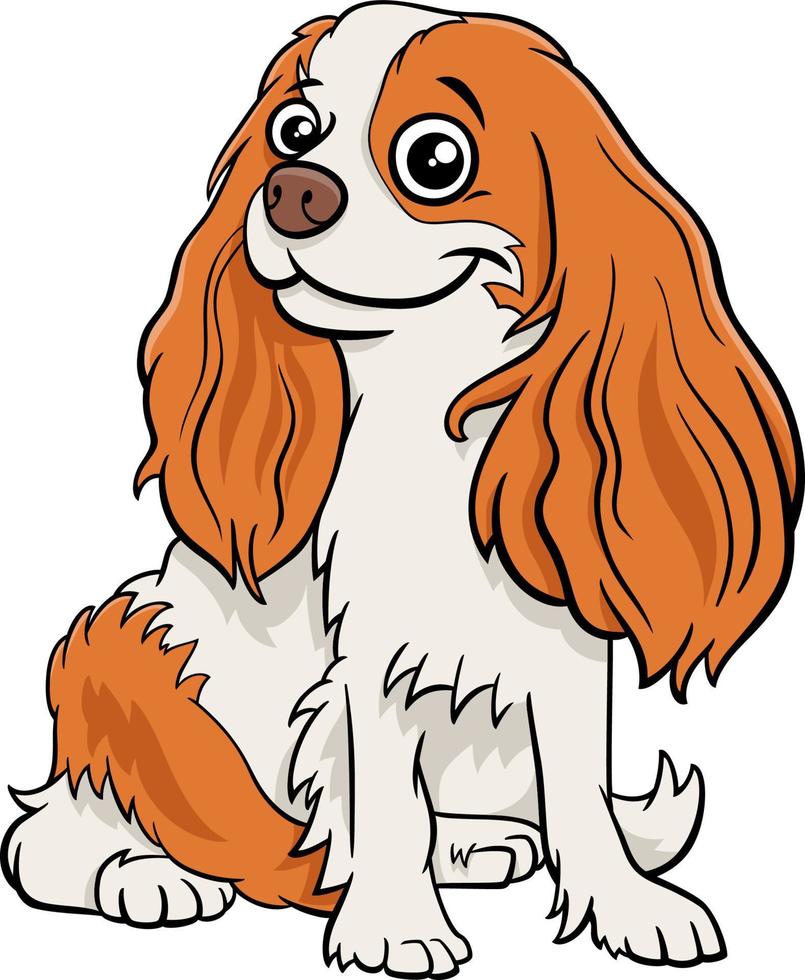 dibujos animados cavalier king charles spaniel perro de pura raza vector