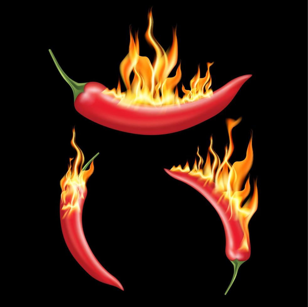 Red chili pepper with fire on solid color background. Emblem spicy food hot. 3D Vector EPS10 illustration.