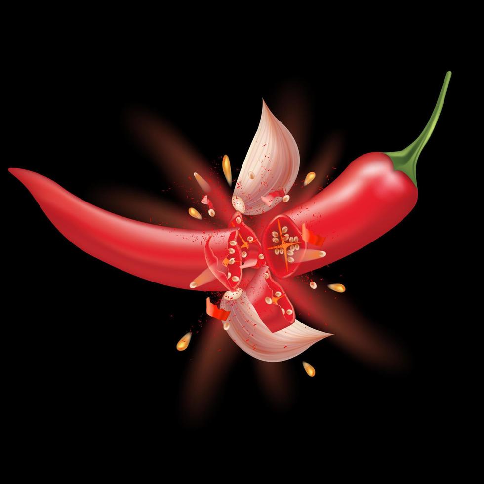 Red chili peppers and garlic splashing isolated on black background. Vector 3D illustration.