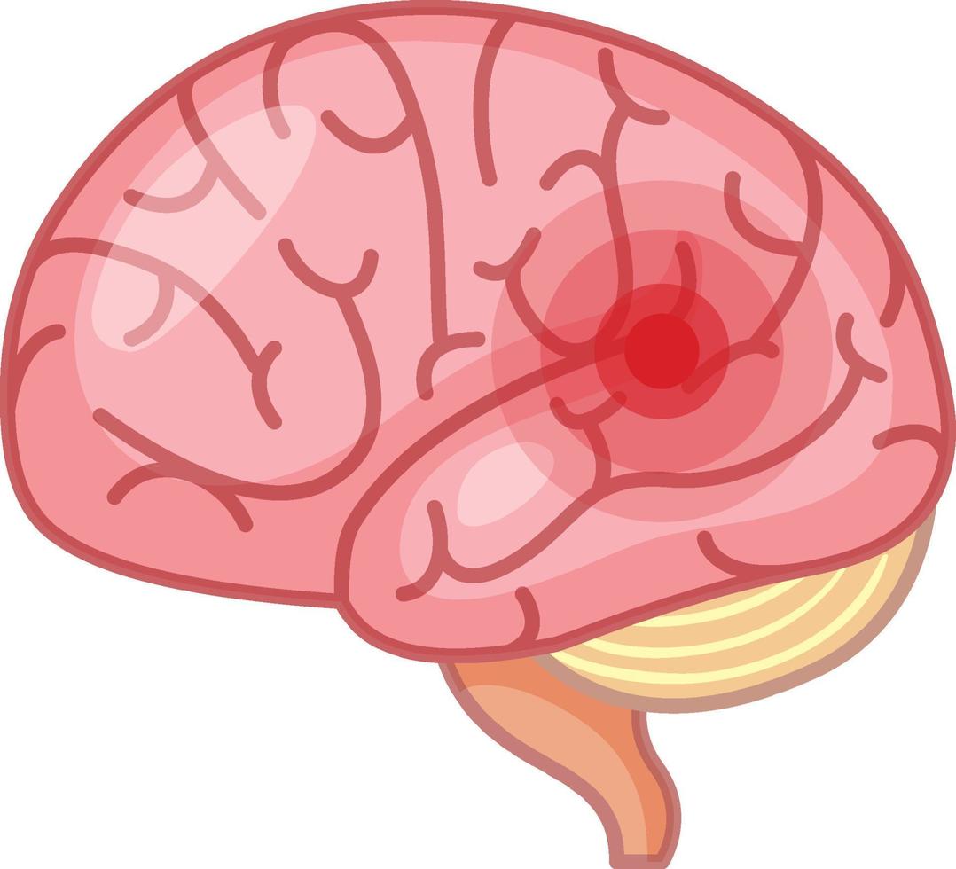 The brain has a red signal on white background vector