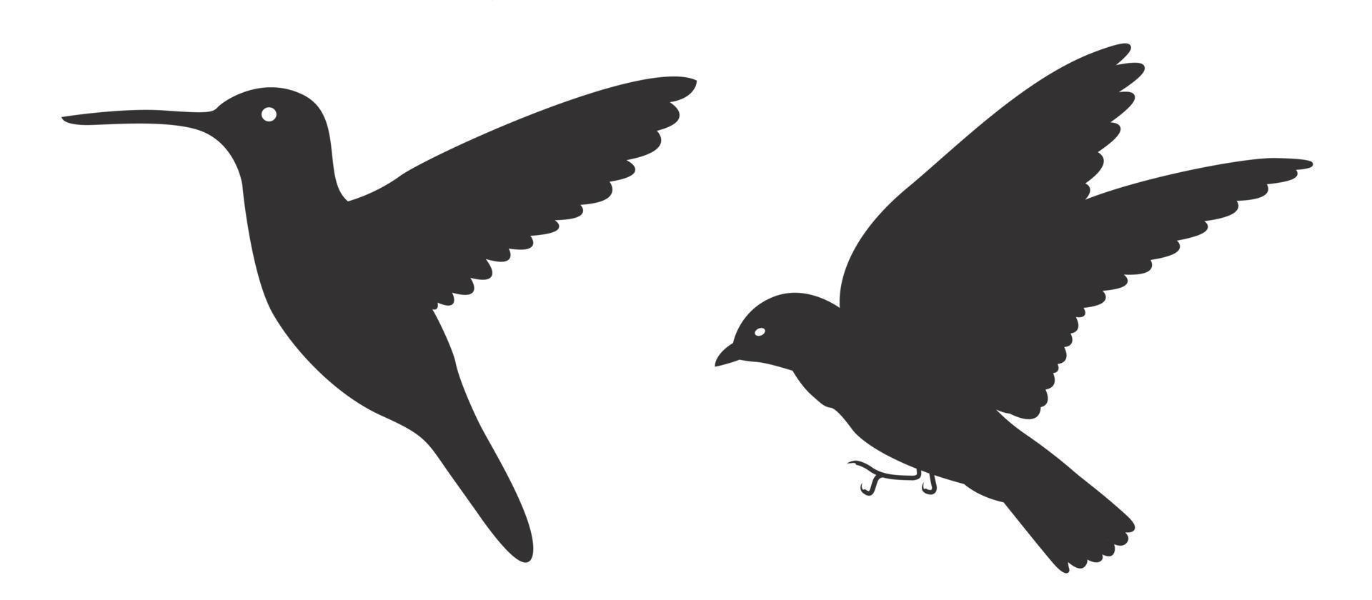 vector conjunto de silueta de aves. pájaros sentados y volando