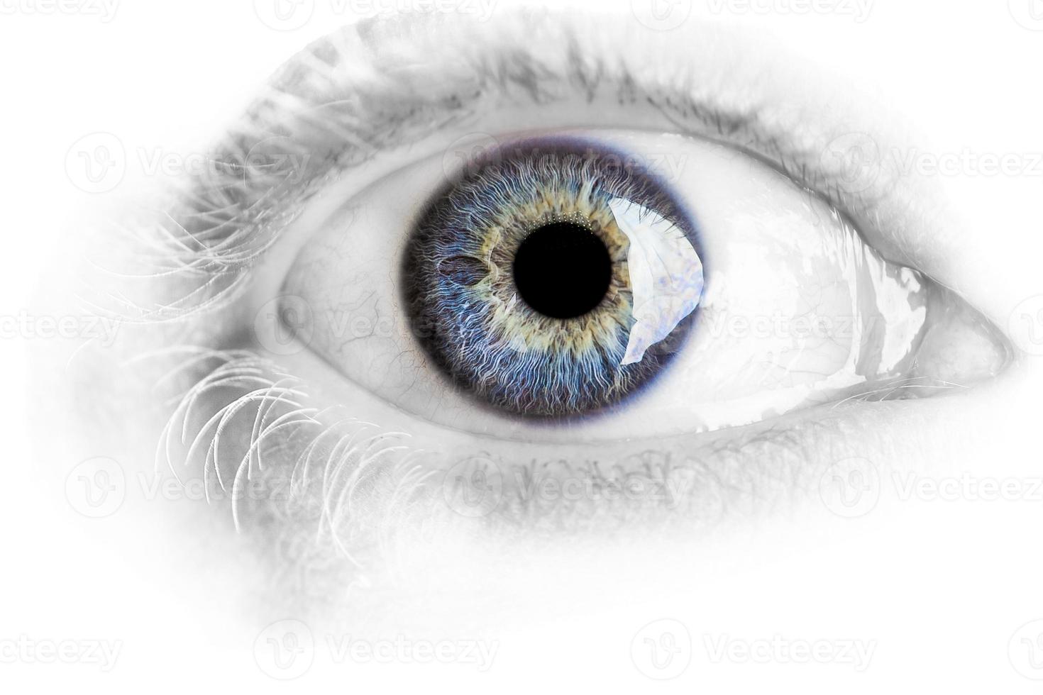 Macro blue eye with lots of details isolated on white photo