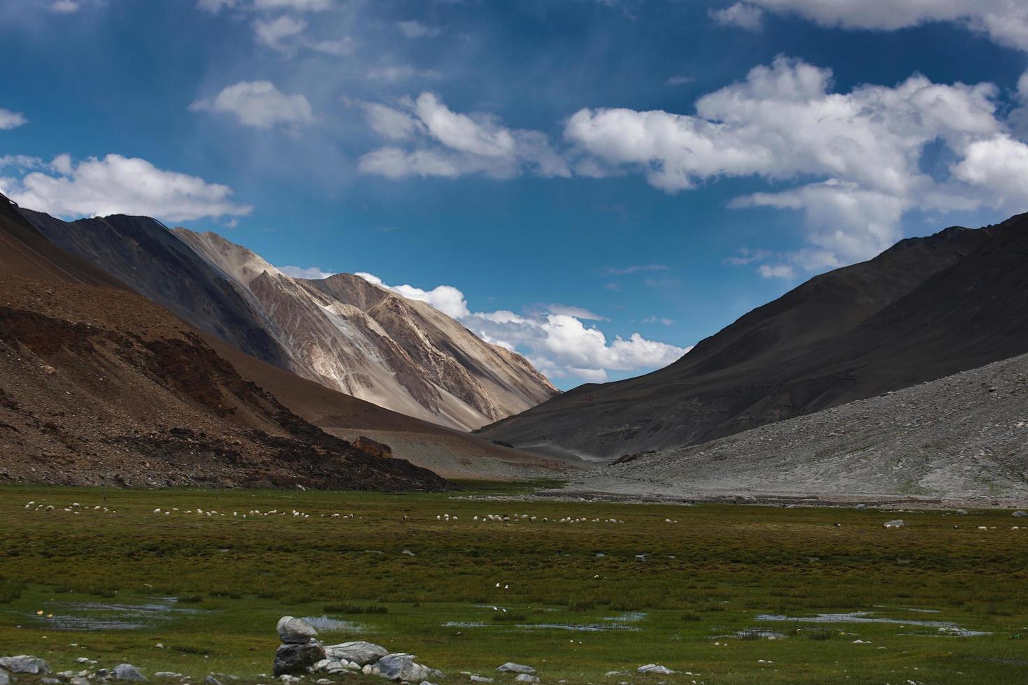 Amazing colours of Lake Pangong of Leh, Ladakh. photo