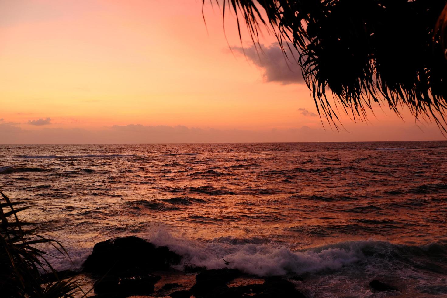 Sunset on Colombo beach, Sri Lanka. photo